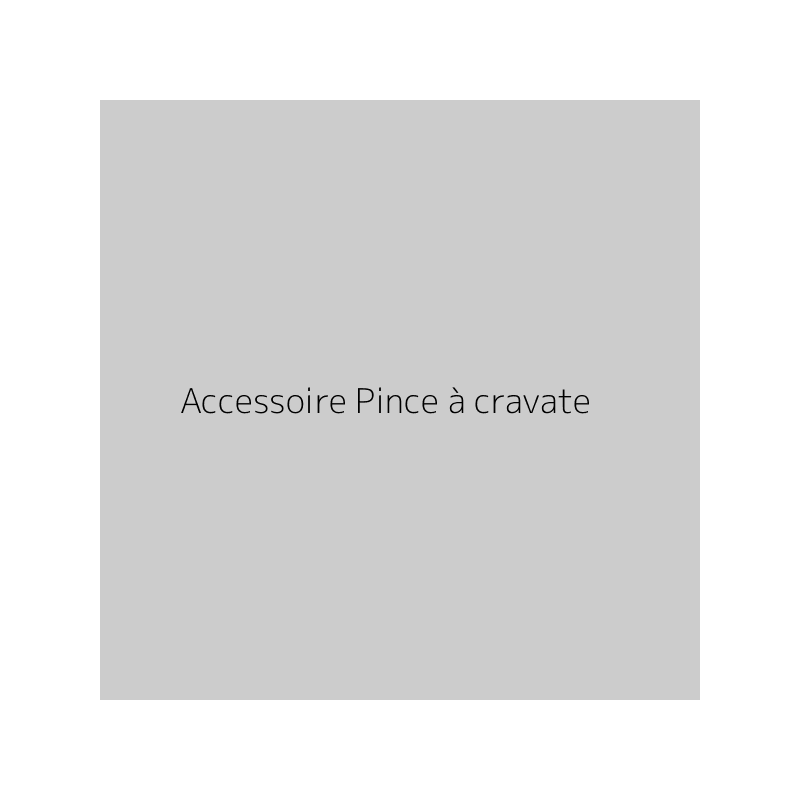 Accessoire Pince à cravate