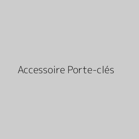Accessoire Porte-clés