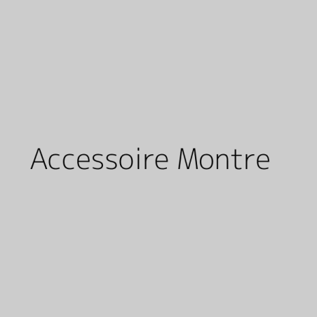 Accessoire Montre