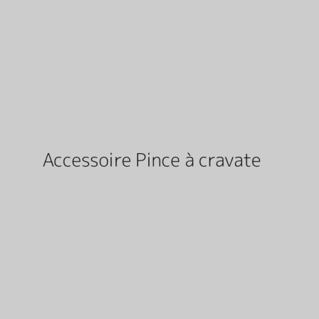 Accessoire Pince à cravate