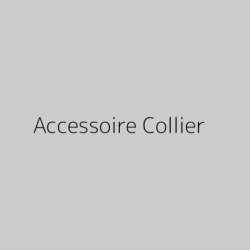 Accessoire Collier