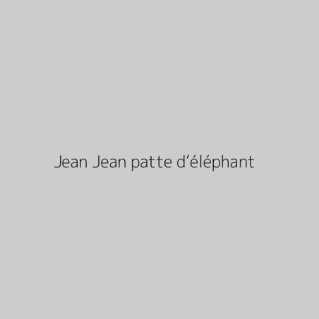 Jean Jean patte d’éléphant