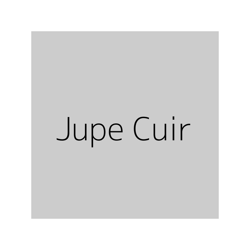 Jupe Cuir